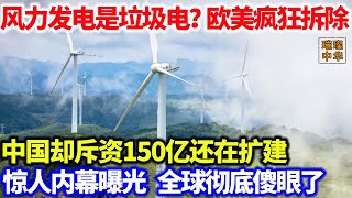 风力发电是垃圾电？欧美疯狂拆除，中国却斥资150亿还在扩建，惊人内幕曝光，全球彻底傻眼了！#新能源 #中国工程 #发电