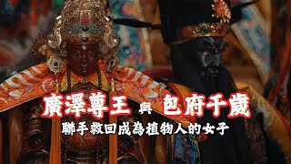神明信仰 │神來一筆 《走訪》 府城廣明堂 - 廣澤尊王聯手包府千歲救活植物人女子#廣澤尊王#包府千歲#府城廣明堂#台南廟宇#廟會錄影