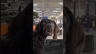 Someone messed up #shorts #youtubeshorts #cars #mechanic #mechaniclife #technician #autotech #car