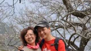 543旅連長登山隊20150119信義賞梅&龍井花海