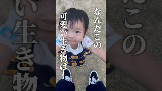 [Too cute❤️] He begs to be held. #dailylife #family #family #shorts