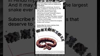 Meet Vasuki: India’s Prehistoric Giant Snake