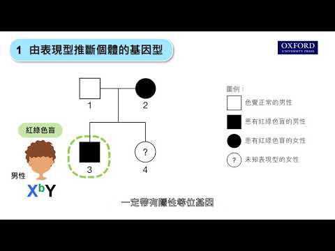 網上學堂25.2 解讀顯示性連鎖特徵遺傳情況的譜系