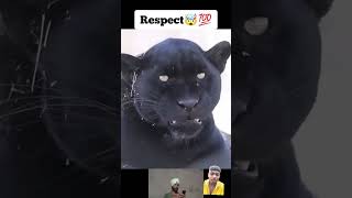 #respect #reaction #respect99million #respectrection #girlsrespect #respect999 #respectplus #subsub