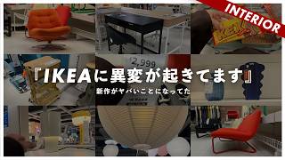 [IKEA's products are amazing] Something strange is happening at IKEA!? There's an abundance of ne...