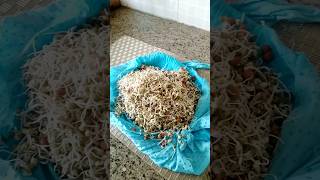 Ghar par sprouts kaise banaye | Do din mein sprouts taiyar | How to make sprouts at home | #shorts