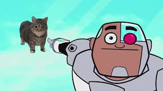 Guys look, a birdie but it is OiiaOiia cat