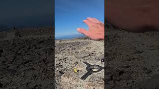 Ben Nevis summit #scotland #mountain #bennevis #solotravel