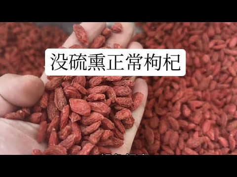 这样的枸杞才是没被泡过没熏过的，好枸杞还有这些特征特点哦！