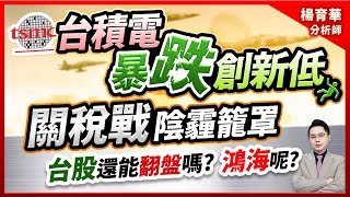 (有CC字幕)2025.03.14【台積電暴跌創新低 關稅戰陰霾籠罩 台股還能翻盤嗎?鴻海呢?】#楊育華 #股市御錢術