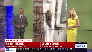 Lightning strike leaves mark on Ky. neighborhood