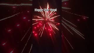 NEW YEAR FIREWORKS  #shortsviral #emergency #toiletchronicles #africanews #newyear2025 #fireworks