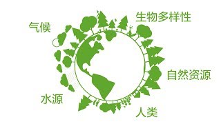 UPM Pulp - Get Impressed by Forests     UPM纸浆 – 森林的深刻印象