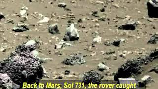 火星揭秘火星存在生命系列：Nasa火星图发现疑似地外文明墓地！？ flv