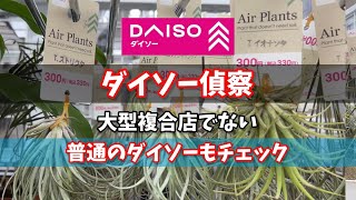 【ダイソー偵察】普通のダイソーもチェック！ #ダイソー #daiso #観葉植物 #houseplants