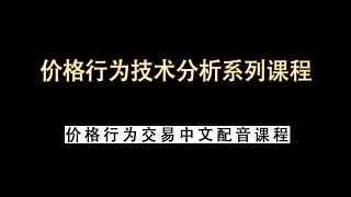 16F通道｜价格行为学 2024 中文配音版