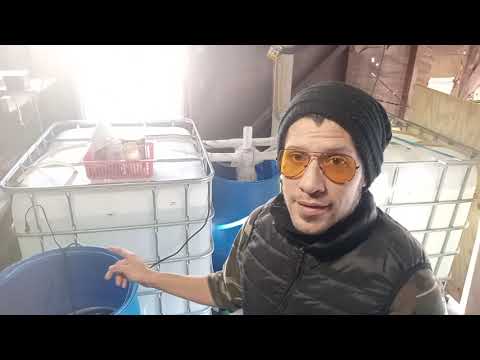 garage fish farm