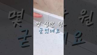 몇 십만 원 벌게 한 보수제