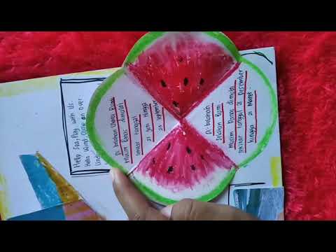 4 Season Adventure ( Pop Up and Pull Tab Book)