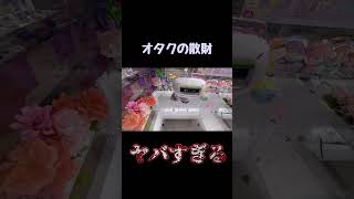 [大散財]クレーンゲーム取れるまでやろうじゃないか！　#クレーンゲーム #ufoキャッチャー #nct #オタク