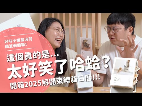 這個真的是太好笑了哈蛤？開箱2025解開束縛貓日曆！！！【腦波弱開箱】EP151