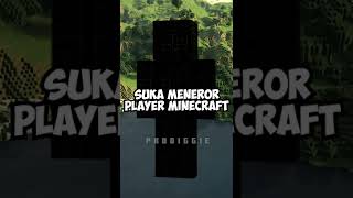 Siapakah Sebenarnya NULL di Minecraft