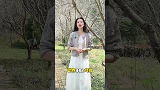 五彩VS斗彩 #知识分享 #瓷器 #陶瓷 #非遗文化 #收藏