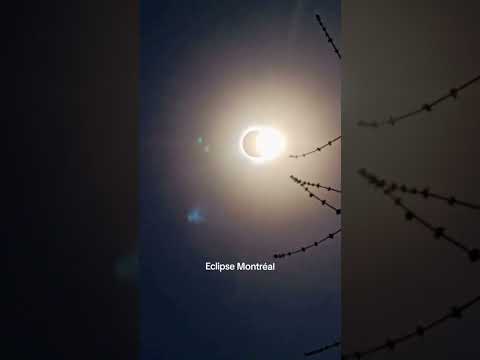 MONTREAL ECLIPSE/ EVERYONE FAVOURITE 😍  TIME #shortfeeds #montrealeclipse2024 #eclipse2024