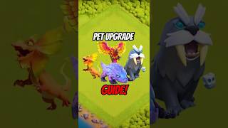 The BEST Order To Upgrade Pets In Clash Of Clans 2025! 🇺🇸 #coc #shorts #usa