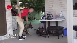 元朗狗咬狗實錄！狼狗發狂互咬 Eric Ko冒死介入險被咬傷 擺平後至教狗主做領袖 化解世仇唐狗狼狗 【煉狗術師S1 EP3-2&3】