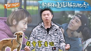 狗狗知道鏡頭在拍牠嗎？｜🐶TOPDOG熊爸來解答  @熊爸估狗dogtrainer