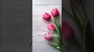 🎶Stay with the music. 🌷🎶More melodies await on our channel.🎶#softmusic#calmvibes #pianomusic