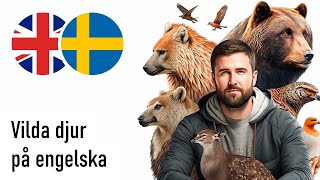 Vilda djur på engelska (Manlig röst)