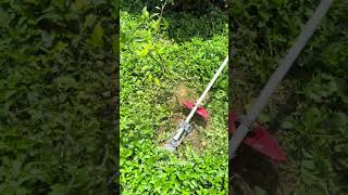 Lawn Mower Upgrade: Tree Guard Attachment You Need!