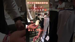 ジャパネットクルーズ船内食事中に・・・ #認知症 #一人旅  #親不孝 #旅 #可愛い #ジャパネットクルーズ #おばあちゃん