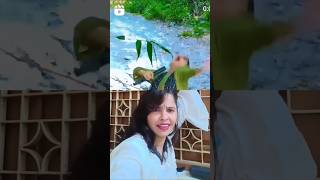 camera band karo mein nali me girgai#shortvideo #funnyvideo #viralgirl #viralcode #trendingshorts #🙏
