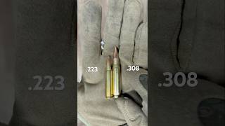 .223 vs .308 Size Comparison