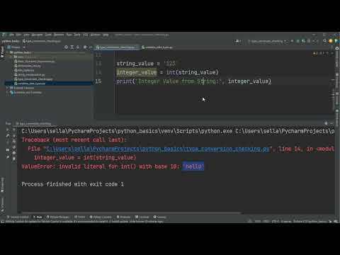 Type Conversion and Type Checking with Python 3