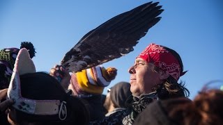 Standing Rock Celebrates Pres. Obama Denying DAPL Permit
