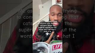 #laughter #cat #catvideos #comedy #catcomedy #funny #catdad #catmom #catvideos #pets #comedyfilms
