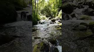 relax in 15 sec 😉 #edit #rain #harmonyhub #storm #weather #anime #satisfying #video #nature #water.