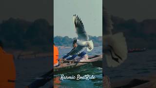 India’s Oldest Boat Service: Still Running on Karma | AnahataFlow