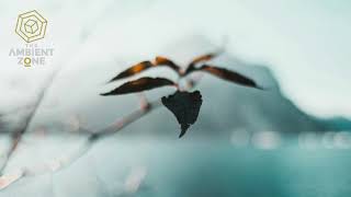 Glowlonely - Midnight (The Ambient Zone)