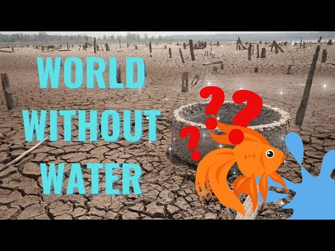 The Catastrophic Effects of a World Without Water