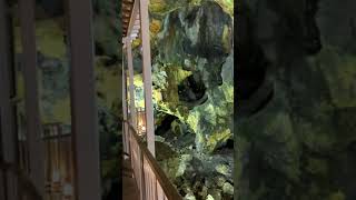 Nobezawa Silver Mine Ruins 銀礦洞 銀山溫泉