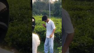Sylhet tea garden... ❤️🤍 #foryou #viral #tea #garden