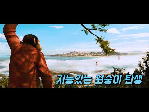 인간 이상의 지능을 가진 원숭이의 탄생