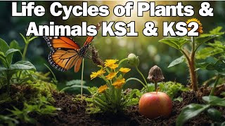 The Life Cycles of Animal & Plants for KS1 & KS2