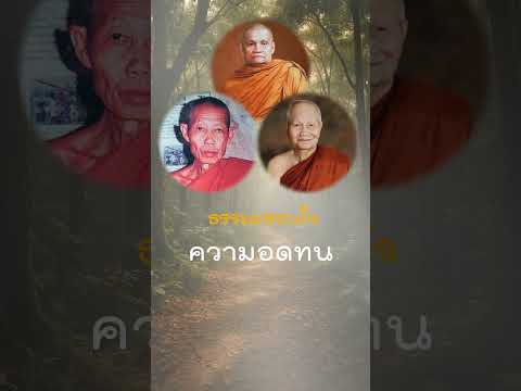 ศิลปะฝึกความอดทน (Mastering of Patience)