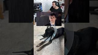 A Bad Day for a Good Boy 😢